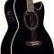 قیمت خرید فروش گیتار آکوستیک Ibanez JSA5 BK Joe Satriani